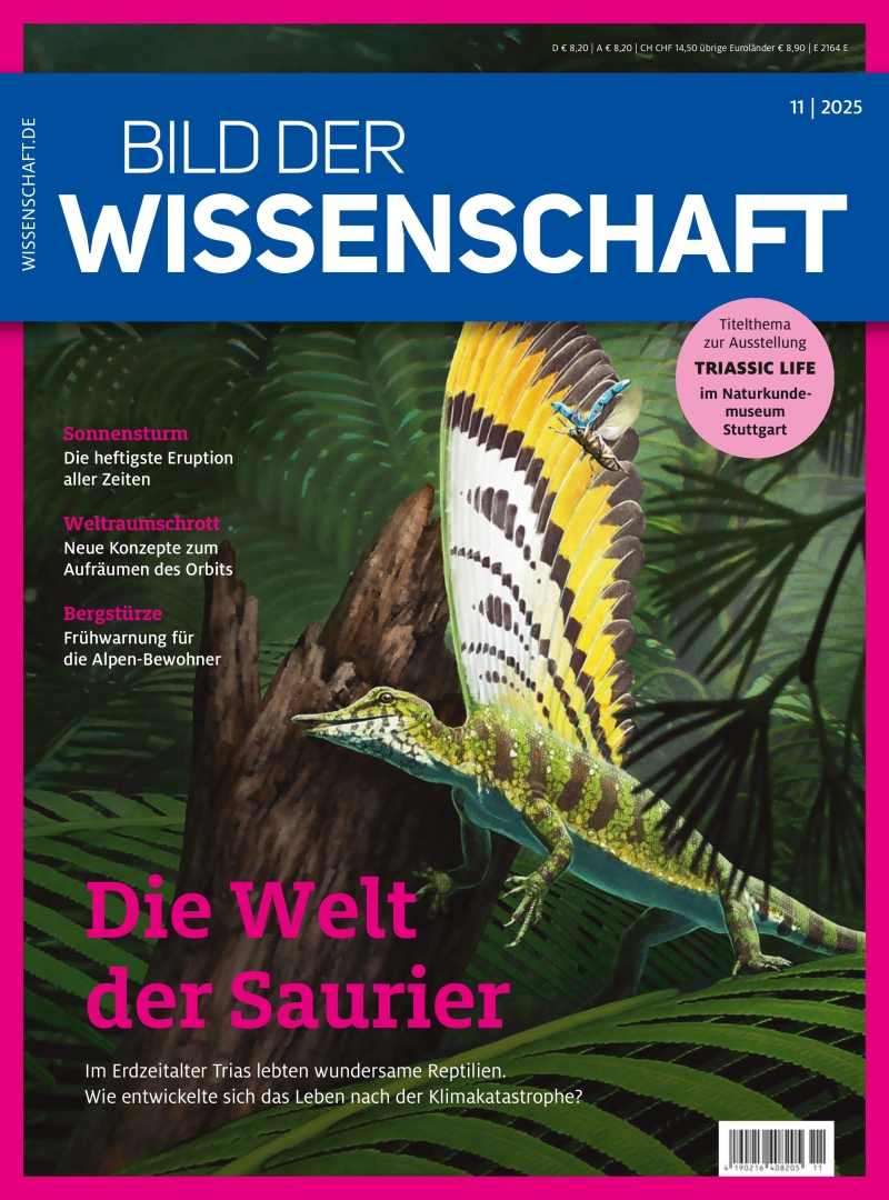 bild der wissenschaft bild der wissenschaft