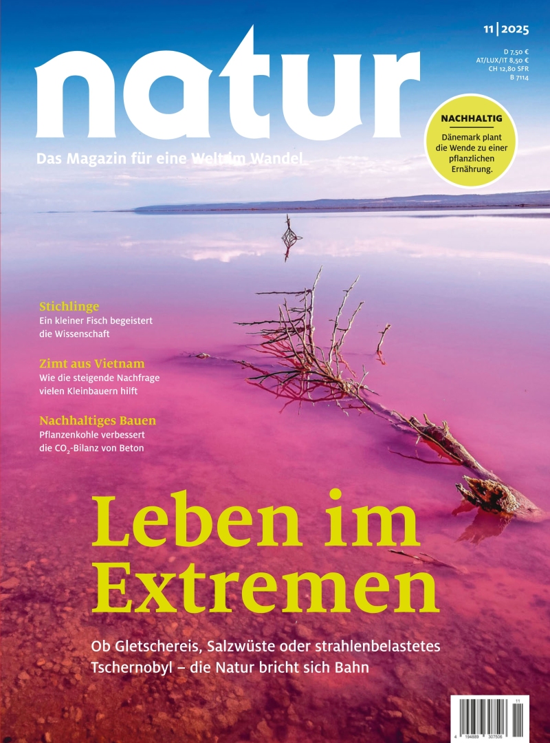 natur natur