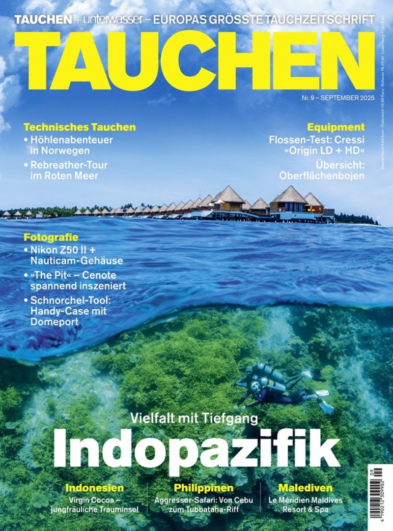 tauchen tauchen