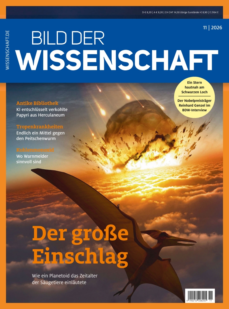 bild der wissenschaft