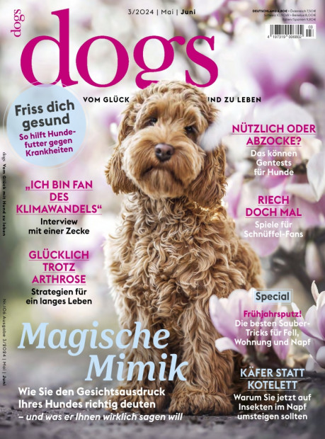 dogs im Abo - aktuelles Zeitschriftencover